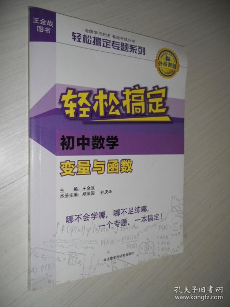 王金战系列图书:轻松搞定初中数学变量与函数