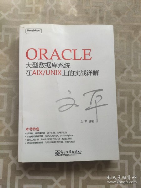 Oracle大型数据库系统在AIX/UNIX上的实战详解