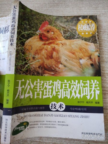 无公害蛋鸡高效饲养技术