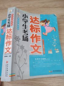 小学生考场达标作文