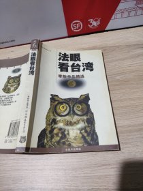 法眼看台湾