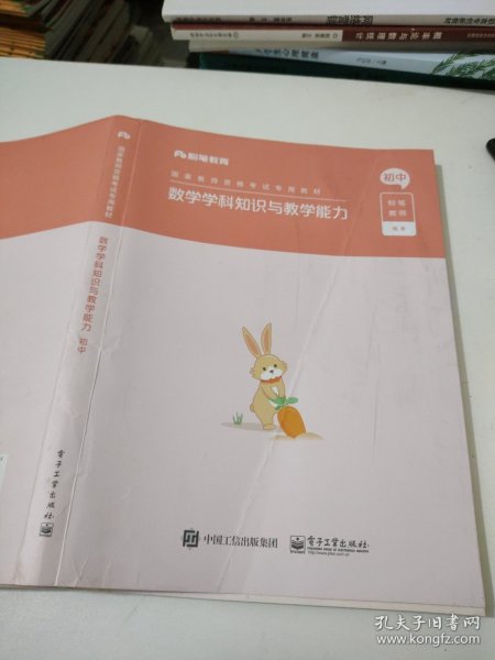 数学学科知识与教学能力·初中