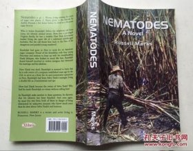 Nematodes A NOVEL 英文原版小说