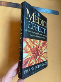 英文 The Medici Effect