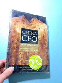 China CEO: Voices of Experience from 20 International Business Leaders  中国首席执行官