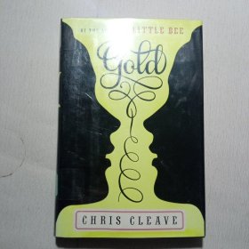 Gold: A Novel