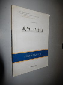 我的一点家当:王世洲刑事法译文集:translations in criminal law