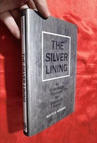 The Silver Lining: An Innovation Playbook for Uncertain Times