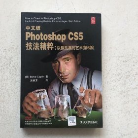 中文版Photoshop CS5技法精粹：以假乱真的艺术（第6版）