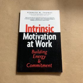 INTRINSIC MOTIVATION AT WORK  SC