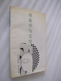 X与文学丛书 现象学与文学