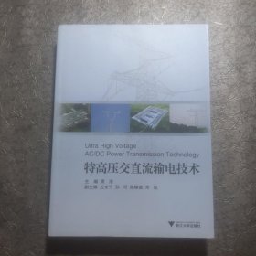 特高压交直流输电技术