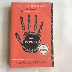 The Power A Novel 英文小说