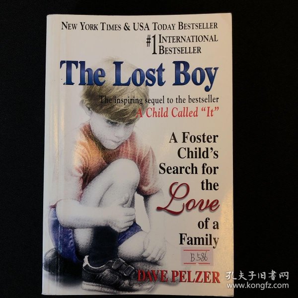 The Lost Boy：A Foster Child's Search for the Love of a Family