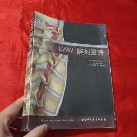 LWW解剖图谱