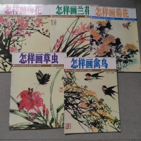 怎样画菊花