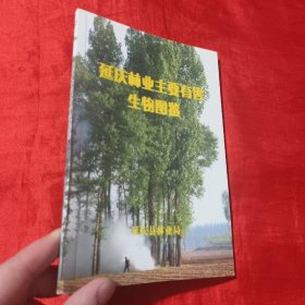 延庆林业主要有害生物图鉴