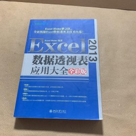 Excel 2013数据透视表应用大全（全彩版）