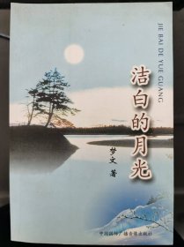 洁白的月光 诗集