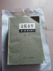 金陵春梦 第一集