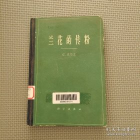 兰花的传粉