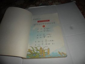 北京九年义务教育六年制小学教科书 语文 第二册【彩版）老课本1995年一版一印