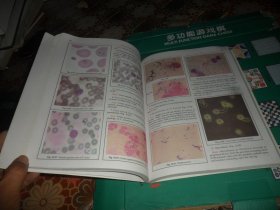 MANUAL OF PRACTICAL MICROBIOLOGY AND PARASITOLOGY (实用微生物学和寄生虫学手册)  英文版