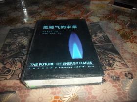 能源气的未来 (16开精装  正版现货）