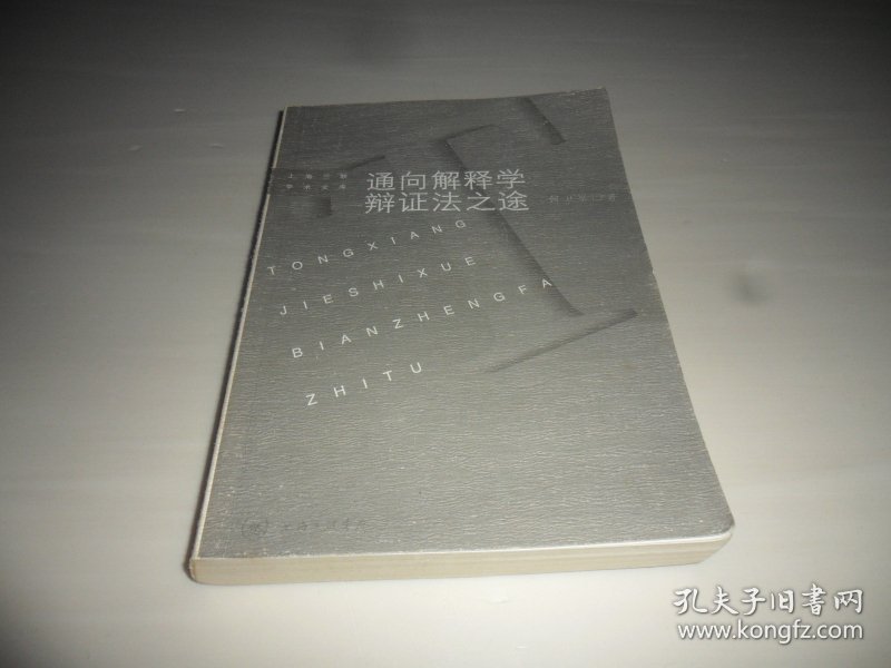 通向解释学辩证法之途:伽达默尔哲学思想研究——上海三联学术文库