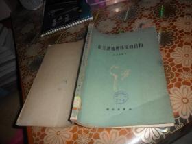 南美洲地理环境的结构（16开本）1962年 一版一印  原版出售