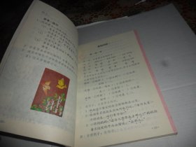 义务教育六年制小学教科书 （实验本） 语文 第七册【彩版）老课本  品好无笔迹