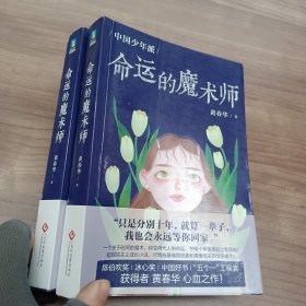 中国少年派：命运的魔术师