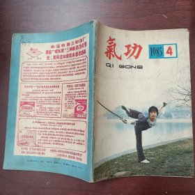 气功杂志（1985年第4期）