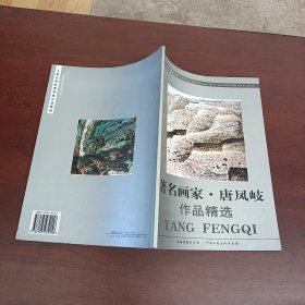 百杰画家 唐凤岐 作品精选