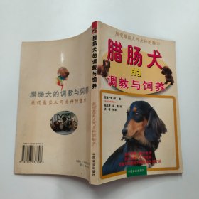 腊肠犬的调教与饲养