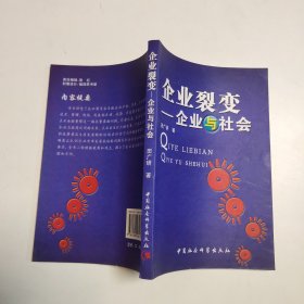 企业裂变：企业与社会