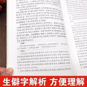 淮南子正版完整无删减 西汉刘安著 原著全套原文白话全注全译中华国学经典中国通史中国古代哲学道家书籍中国古典文学小说名著