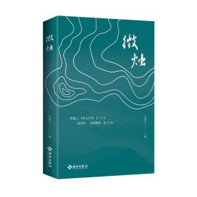 微烛（朱湘山 著） 9787573013583 海南出版社