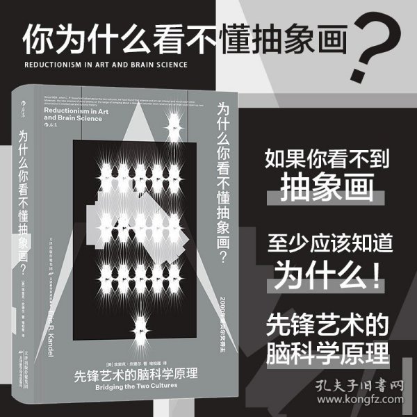 【】为什么你看不懂抽象画(先锋艺术的脑科学原理)(精) (美)埃里克坎德尔著 绘画理论天津科学技术出版社其他