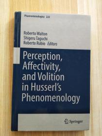 英文原版 Perception, Affectivity, and Volition in Husserl's Phenomenology Springer    胡塞尔现象学中的知觉、情感和意志