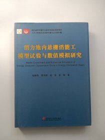 消力池内悬栅消能工模型试验与数值模拟研究/土木工程前沿学术研究著作丛书