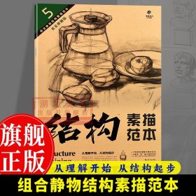 造型基础训练方法丛书5：组合静物结构素描范本（黄金典藏版）