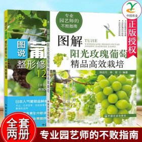 兩冊彩圖版圖解陽光玫瑰葡萄精品高效栽培+圖說葡萄整形修剪與12月栽培管理 葡萄種植技術書籍葡萄實用栽培技術大全