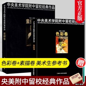 中央美术学院附中留校经典作品素描卷+色彩卷 静物临摹范本教材水粉画水彩画教程 央美素描色彩60年作品经典 美术绘画类学生书籍