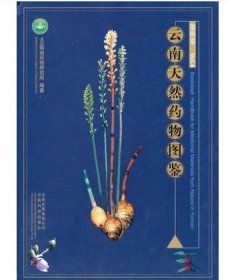 云南天然药物图鉴（第四卷） 一把篾一点血一点纤一滴血 七叶一枝花七姊妹八月春人参九子连环草九层风九牯牛