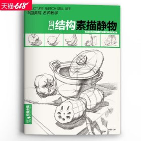 区域 结构素描静物 【大开本】临摹书籍单体组合绘画大关系透视美术基础技法 杨建飞主编