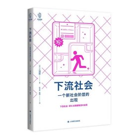 下流社会：一个新社会阶层的出现