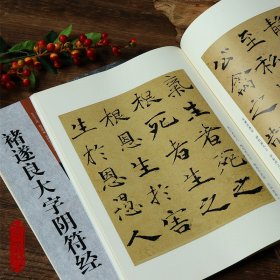 褚遂良大字阴符经 古代经典碑帖善本简体旁注+通篇释读+原寸局部 褚体楷书毛笔字帖书法临摹范本 初学者专业院校学生入门临习教材