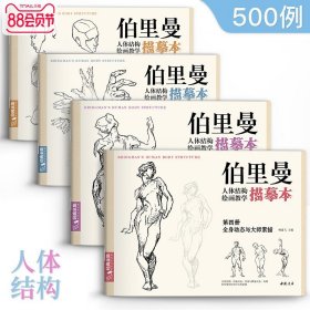 伯里曼人体结构教学描摹本【四册全套】 速写人物结构绘画练习教程教材 杨建飞主编
