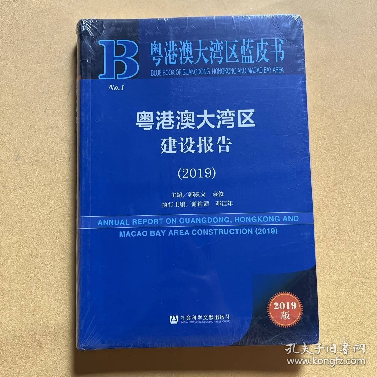 粤港澳大湾区建设报告（2019）/粤港澳大湾区蓝皮书